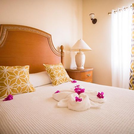 Connie'S Comfort Suites St. John's Bagian luar foto