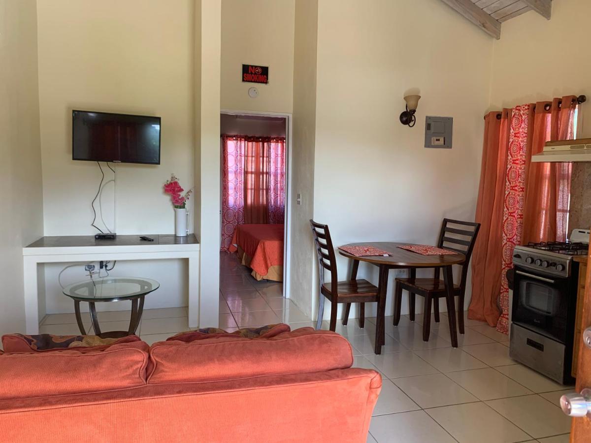 Connie'S Comfort Suites St. John's Bagian luar foto
