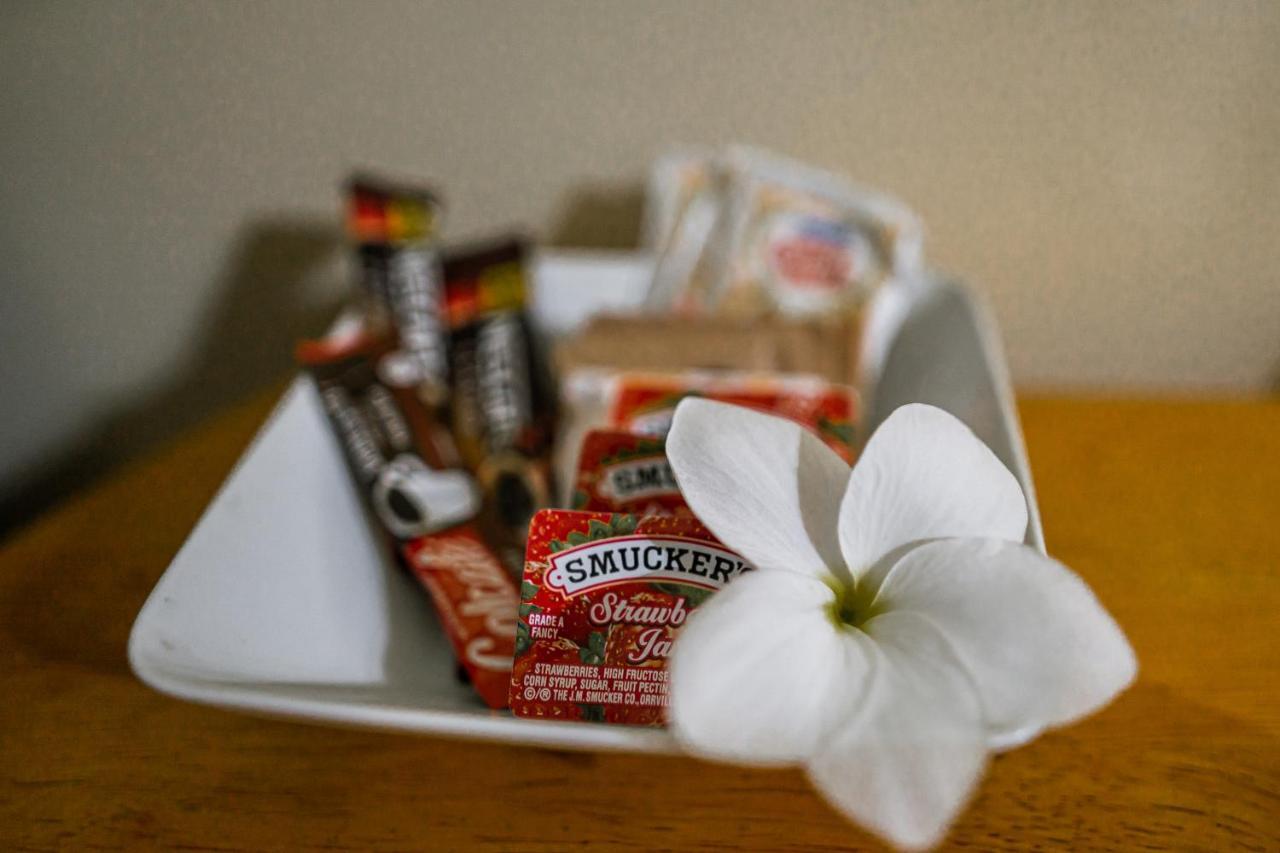 Connie'S Comfort Suites St. John's Bagian luar foto